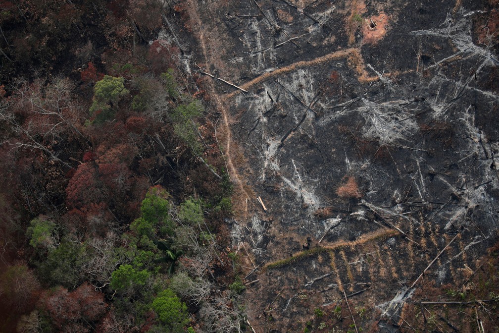 1 85 “O Brasil vem passando por um processo de aumento acentuado do desmatamento da Amazônia”, afirma docente da UniFG