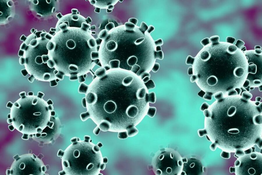 1800x1200 coronavirus 1 1 e1585051676590 Mais seis casos suspeitos de coronavírus em Guanambi são descartados