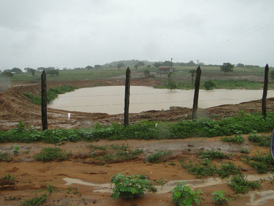 brumado lagoa zona rural foto site brumado noticias 73 Menino de 6 anos morre afogado após cair em lagoa na zona rural de Pindaí