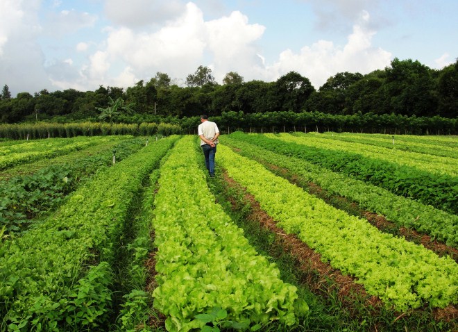 Agroecologia e produC3A7C3A3o orgC3A2nica IF Baiano sediará o IV Seminário de Agroecologia e Produção Orgânica do Território Sertão Produtivo