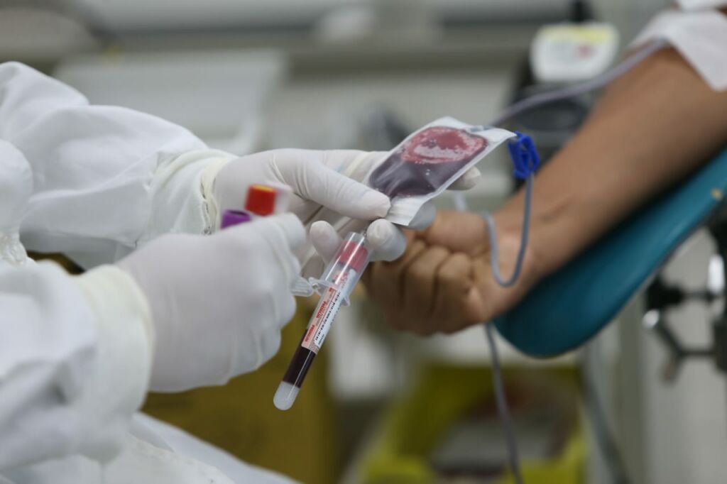 thumbnail Coleta de sangue Foto Camila Souza GOV BA Hemoba completa 31 anos com uma das maiores qualificações na oferta de sangue no Brasil