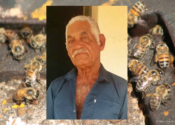 1578415657 e1af3a2c6d b Idoso de 78 anos morre após ser picado por abelhas na zona rural de Matina