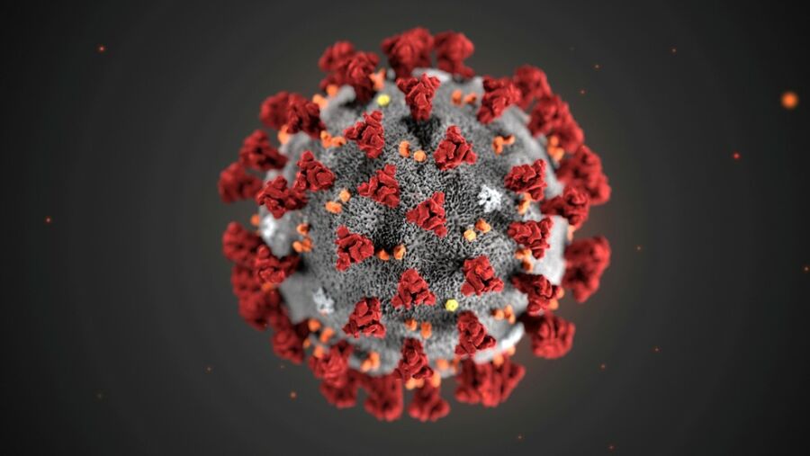 coronavirus 4 1 Guanambi registra o quinto óbito em decorrência da Covid-19, vítima é uma mulher de 59 anos