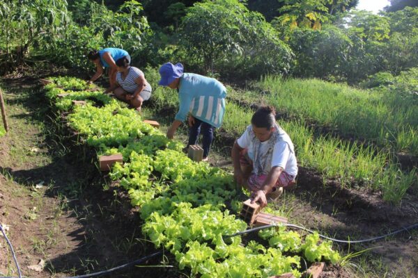 105812202121011 e1611239551827 Seguindo calendário do NIS, Governo Federal inicia pagamento do Garantia-Safra em Guanambi