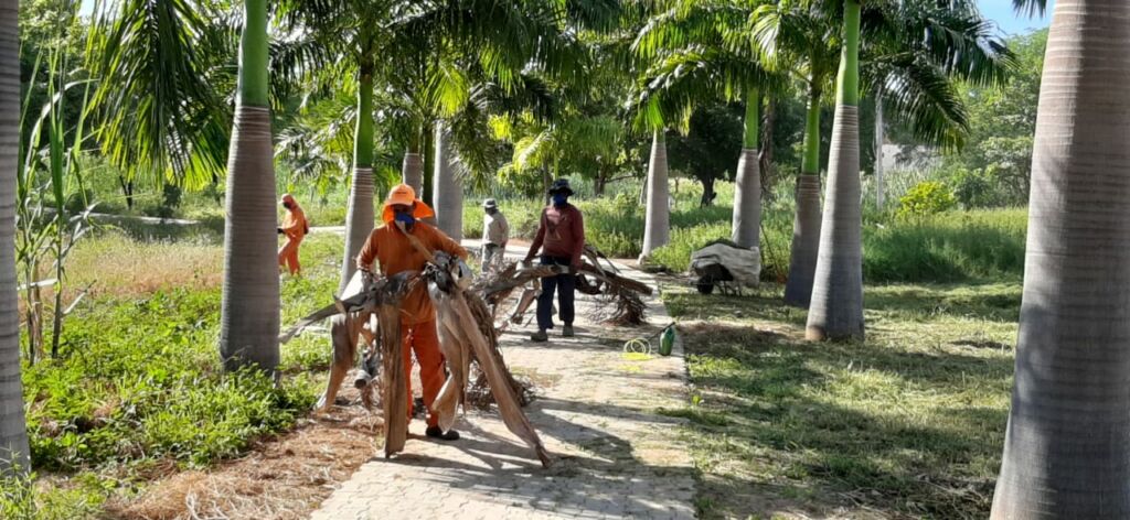 125217585220210601 Parque da Cidade passa por limpeza geral, para voltar a ser a maior referência de lazer em Guanambi