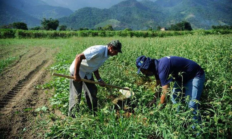 68cdeea1 b336 410d a1f9 3fcf2e62f16e Garantia-Safra autoriza pagamento para mais de 88 mil agricultores familiares