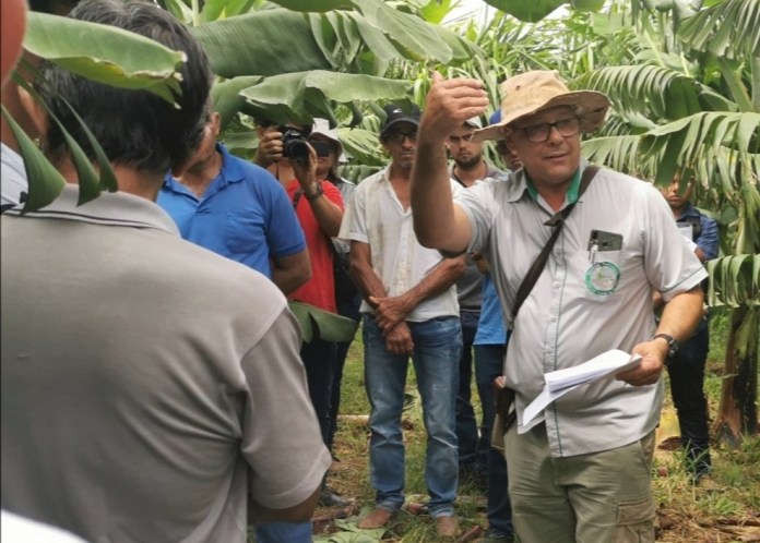 wp 1613064498803 Professor do IF Baiano é contemplado em chamada do CNPq de Produtividade em Pesquisa