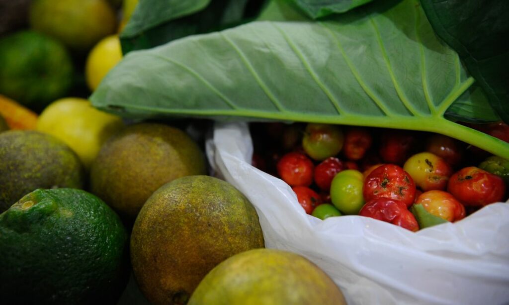 960400 20052015 tng1915 931 milhões de toneladas de alimentos foram para o lixo em 2019, diz ONU