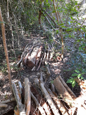 IMG 20210319 WA0025 Comunidade Cachoeira de Baixo denuncia desmatamento para construção da Barragem de Rejeitos da Bamin