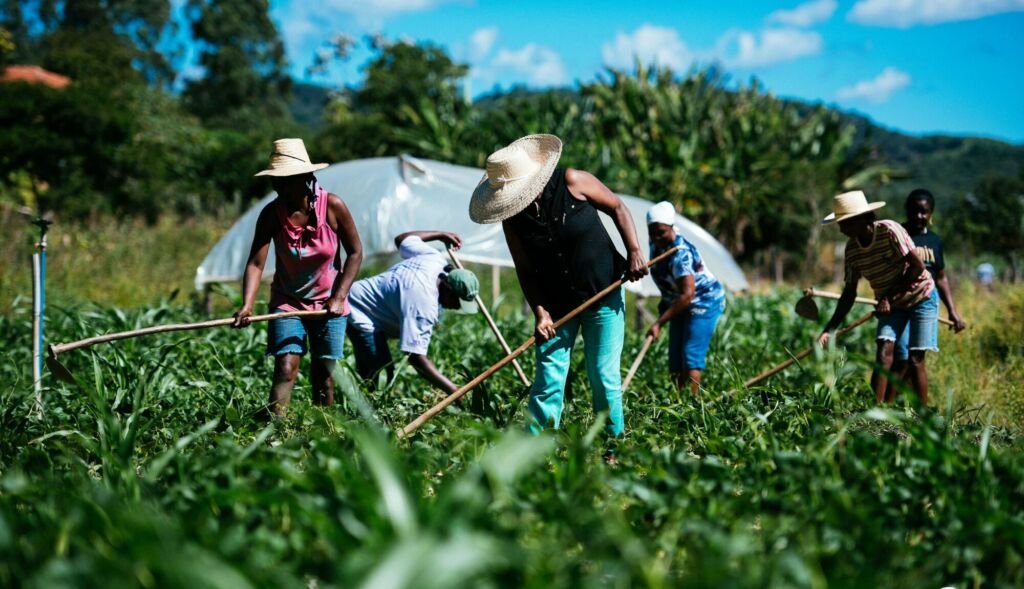 205306202114051 Prefeitura de Sebastião Laranjeiras faz chamada para aquisição de produtos da Agricultura Familiar