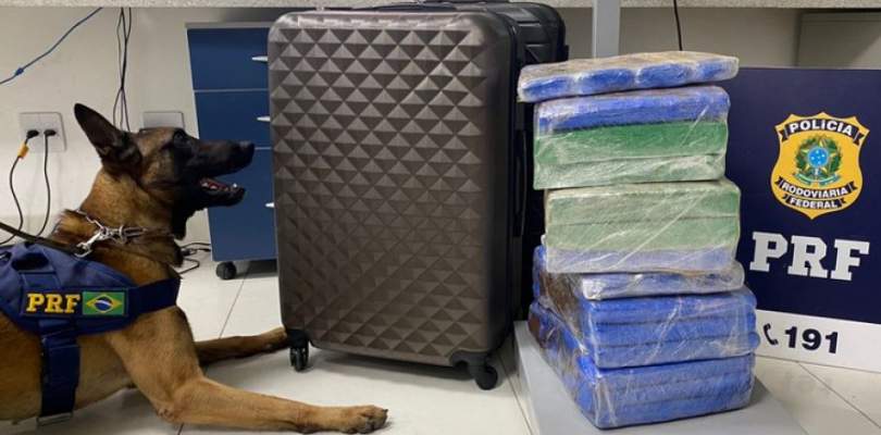 318697 IMAGEM NOTICIA 0 Cão farejador da PRF encontra maconha em ônibus e traficante é preso em Vitória da Conquista