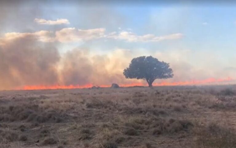 whatsapp image 2021 08 14 at 08.18.42 768x482 1 Incêndio atinge fazenda na zona rural de Guanambi