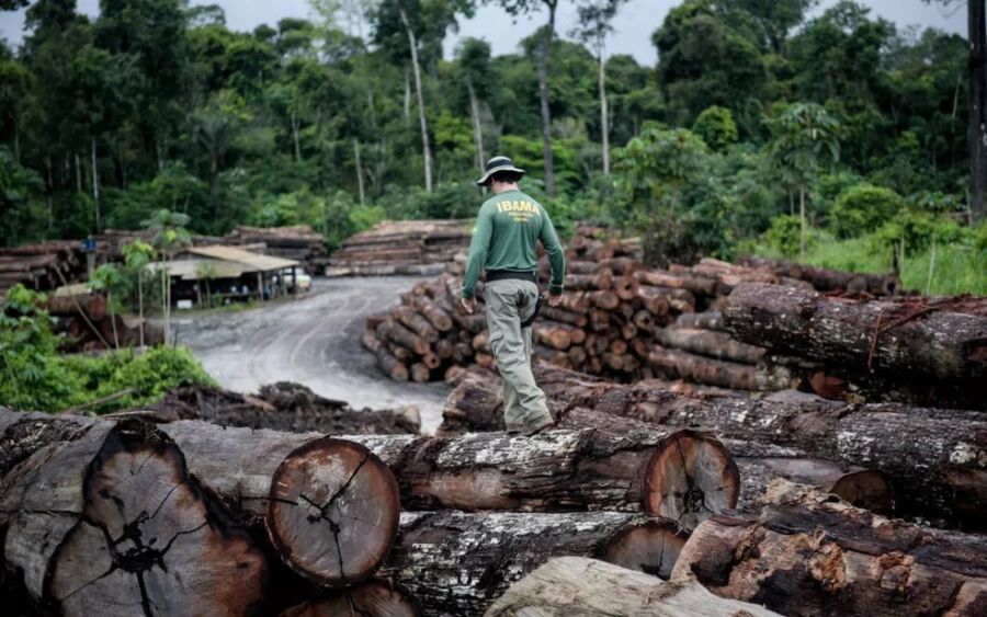 IMG 20220331 WA0018 CRIME AMBIENTAL: comissão no Senado aprova projeto de lei que aumenta penas e multas nos delitos contra o meio ambiente