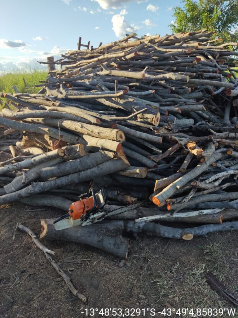 WhatsApp Image 2022 04 08 at 14.16.45 Polícia ambiental apreende madeira, arma de fogo e motosserra em Carinhanha