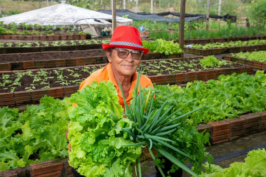 Marinalva COOPSERTAO agricultora PINTADAS scaled 1 Editais ampliam oferta de Assistência Técnica Rural na Bahia com que legislação fortalece agroecologia e produção orgânica