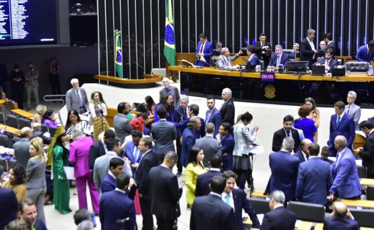 Plenario da Camara 20 de fevereiro Foto Zeca Ribeiro Camara dos Deputados 750x462 1 Deputados aprovaram projetos que protege crianças e idosos