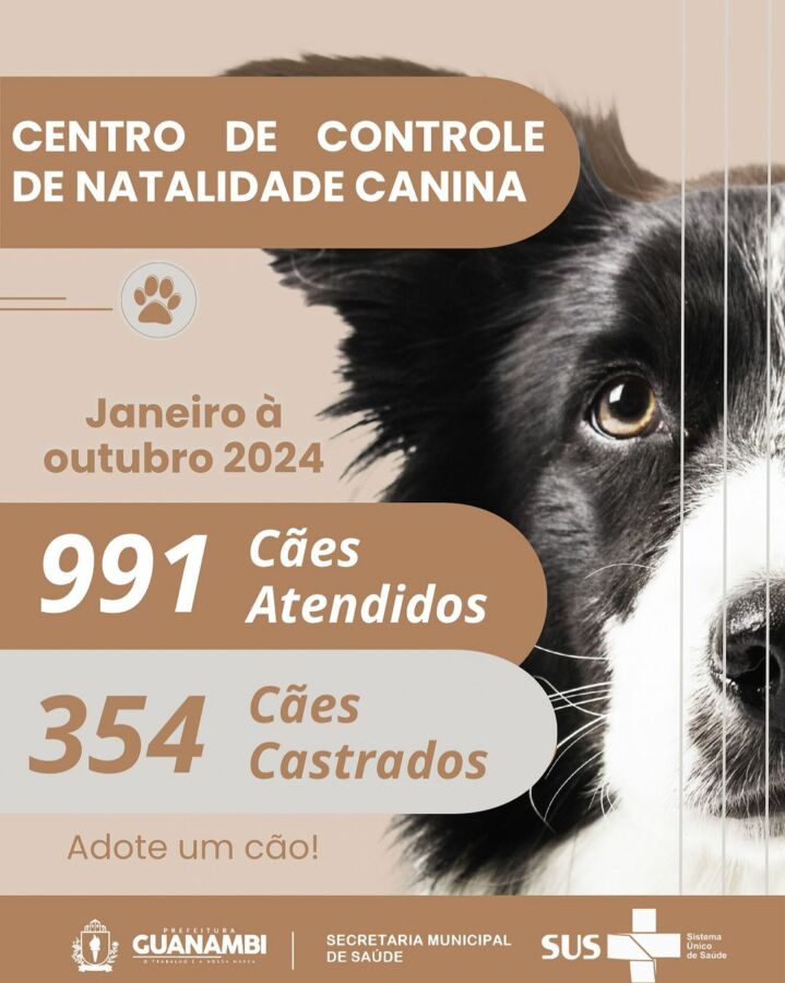 WhatsApp Image 2024 11 08 at 18.21.49 Centro de Controle de Natalidade Canina de Guanambi realizou 350 castrações nos primeiros dez meses deste ano