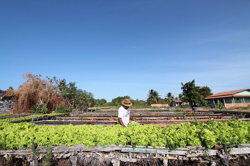 desenrola Desenrola Rural pode beneficiar mais de 360 mil agricultores atendidos pelo Banco do Nordeste